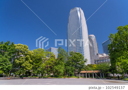 《東京都》初夏の東京都心の街並み・新緑の芝公園 102549137