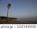 ヤシの木と夕暮れ 102549496