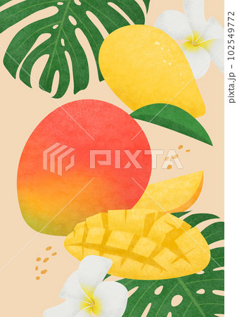 Illustration of mongoes and tropical plants. 102549772