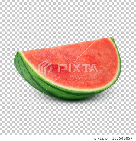 リアルなスイカのイラスト 102549857