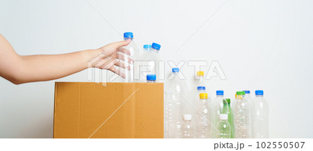 Volunteer keep plastic bottle into paper box at home or office. Hand Sorting Recycle garbage. Ecology, Environmental, pollution, Dispose recycling, waste management and trash Separation concept 102550507