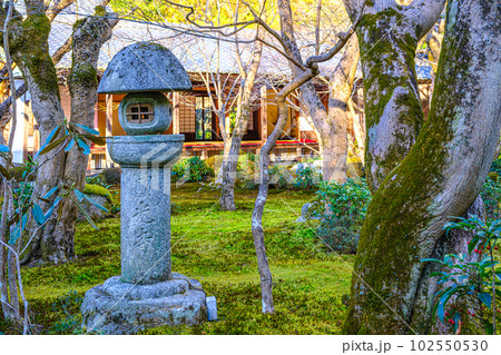 京都、圓光寺の庭園「十牛之庭」 102550530