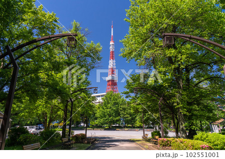 《東京都》新緑と東京タワー・初夏の芝公園 《東京都》新緑と東京タワー・初夏の芝公園 102551001