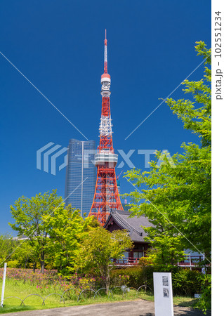 《東京都》新緑と東京タワー・初夏の芝公園 102551234