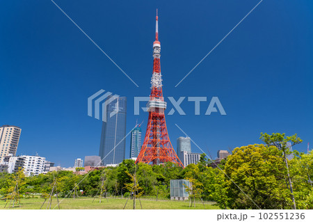 《東京都》新緑と東京タワー・初夏の芝公園 102551236