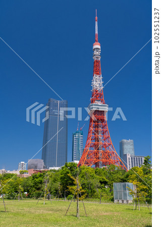 《東京都》新緑と東京タワー・初夏の芝公園 102551237
