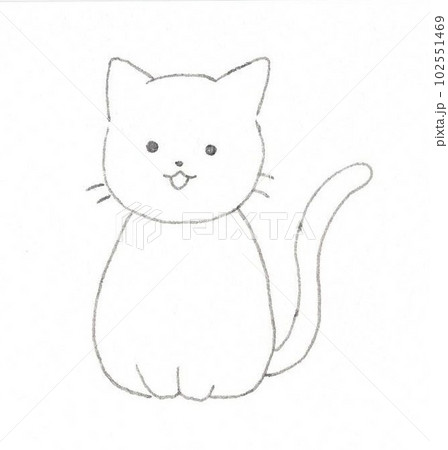 座っている白い猫 座っている白い猫 102551469