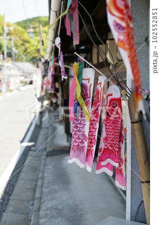 街道沿いの鯉のぼり 街道沿いの鯉のぼり 102552851