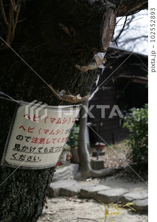 山小屋のマムシ注意看板 102552893