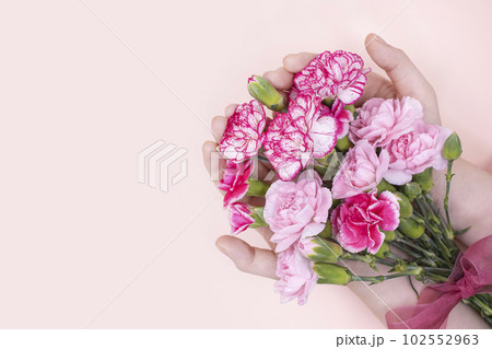 Two woman's hands holding a bouquet of carnations Two woman's hands holding a bouquet of carnations 102552963