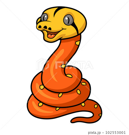 Cute albino golden child reticulated python cartoon Cute albino golden child reticulated python cartoon 102553001