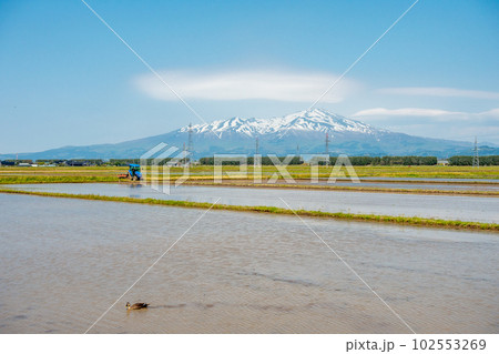鳥海山と田園風景　春 102553269