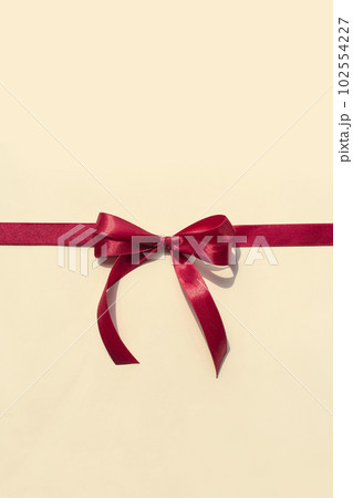 Bow ribbon knot and copy space 102554227