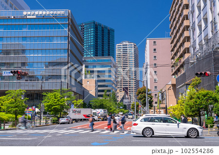 《東京都》初夏の東京都市風景・港区中心街 102554286
