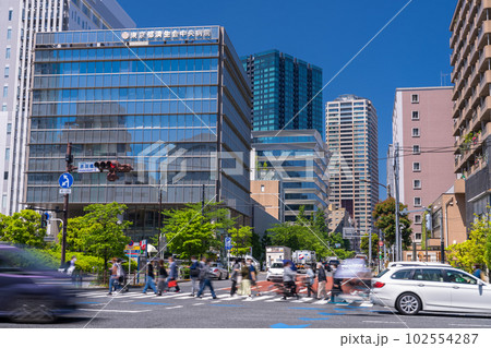 《東京都》初夏の東京都市風景・港区中心街 102554287