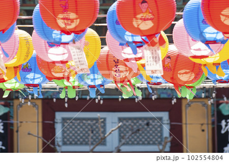 Buddha's Birthday, Buddha's Birthday 102554804