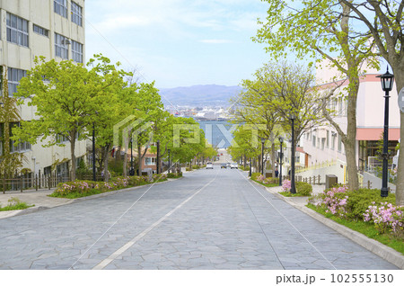 ゴールデンウィークの函館 八幡坂 ゴールデンウィークの函館 八幡坂 102555130
