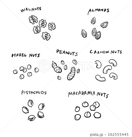 色々なナッツのイラストセット　 102555445