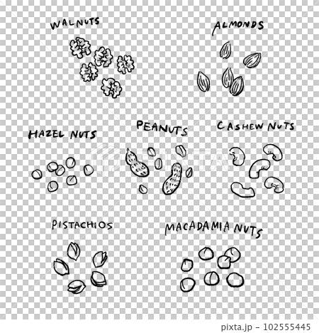 色々なナッツのイラストセット　 102555445