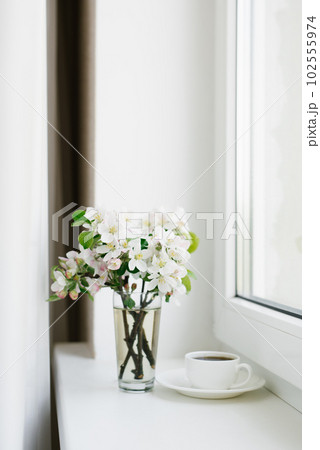 Cup of tea and a saucer with white apple blossoms. Spring greeting card template. 102555974