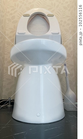 ピカピカトイレ掃除 ピカピカトイレ掃除 102556116