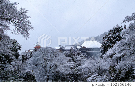 京都、清水寺の雪景色 京都、清水寺の雪景色 102556140