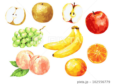 たくさんのフルーツ　手描きベクターイラスト 102556779