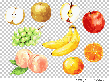 たくさんのフルーツ　手描きベクターイラスト 102556779