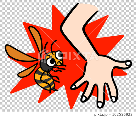 Hornets attacking humans 102556922