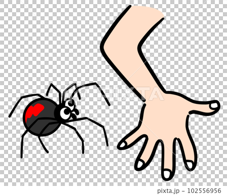 人を襲うセアカゴケグモ 人を襲うセアカゴケグモ 102556956