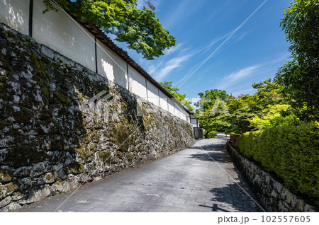 大津市坂本 滋賀院門跡の白壁 大津市坂本 滋賀院門跡の白壁 102557605