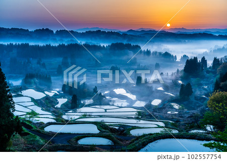 新潟 星峠の棚田　～朝靄のかかる4月の早朝～ 102557754