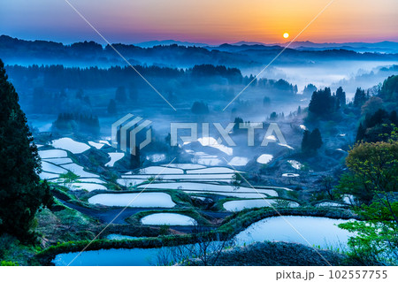 新潟 星峠の棚田 ~朝靄のかかる4月の早朝~ 新潟 星峠の棚田 ~朝靄のかかる4月の早朝~ 102557755