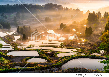 新潟 星峠の棚田 ~朝靄のかかる4月の早朝~ 新潟 星峠の棚田 ~朝靄のかかる4月の早朝~ 102557758