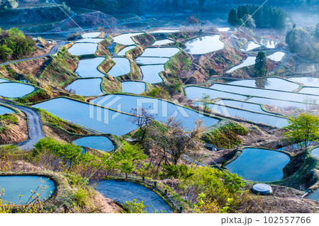 新潟 星峠の棚田 ~朝靄のかかる4月の早朝~ 新潟 星峠の棚田 ~朝靄のかかる4月の早朝~ 102557766