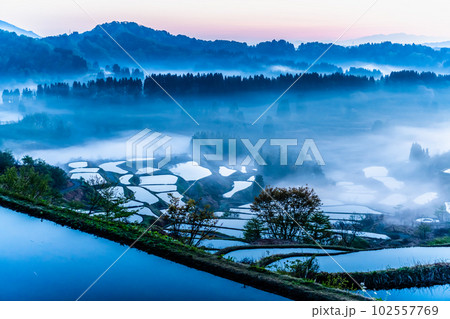 新潟 星峠の棚田　～朝靄のかかる4月の早朝～ 102557769