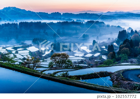 新潟 星峠の棚田　～朝靄のかかる4月の早朝～ 102557772