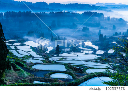 新潟 星峠の棚田 ~朝靄のかかる4月の早朝~ 新潟 星峠の棚田 ~朝靄のかかる4月の早朝~ 102557778