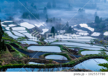 新潟 星峠の棚田 ~朝靄のかかる4月の早朝~ 新潟 星峠の棚田 ~朝靄のかかる4月の早朝~ 102557780