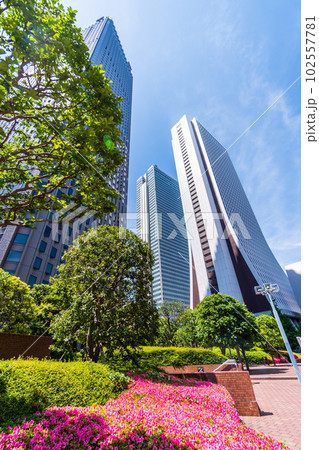 初夏の新宿駅西口オフィスビル街 102557781