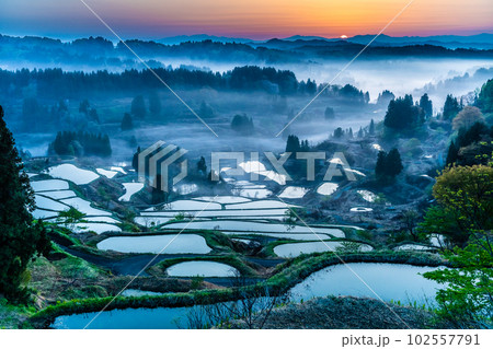 新潟 星峠の棚田　～朝靄のかかる4月の早朝～ 102557791