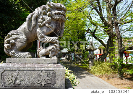 神炊館神社　狛犬　福島県須賀川市諏訪町 102558344