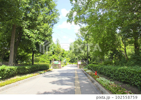 上坂部西公園(尼崎市都市緑化植物園)／兵庫県尼崎市東塚口町2丁目 102558759