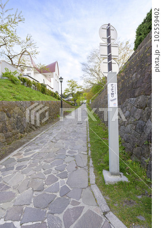 ゴールデンウィークの函館 チャチャ登り 102559402