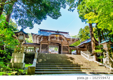 新潟 彌彦神社 ~随神門~ 新潟 彌彦神社 ~随神門~ 102559472