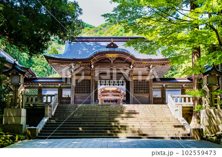 新潟 彌彦神社 ~随神門~ 新潟 彌彦神社 ~随神門~ 102559473