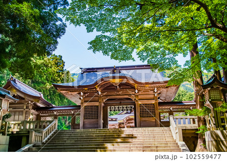 新潟 彌彦神社　～随神門～ 102559477