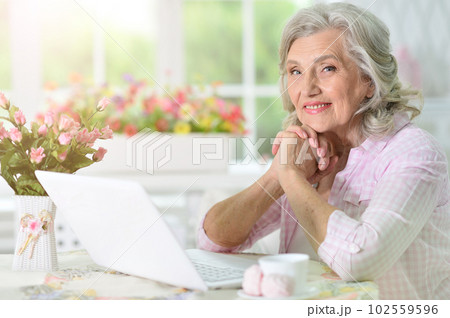 Cute senior woman using laptop at home Cute senior woman using laptop at home 102559596