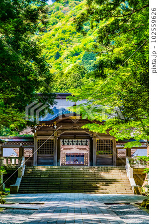 新潟 彌彦神社　～随神門～ 102559626