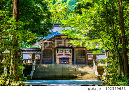 新潟 彌彦神社　～随神門～ 102559628